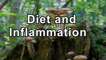 The Profound Impact of Diet on Inflammation and Disease - Gordon Saxe, M.D.