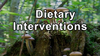 Gordon Saxe, M.D. on the Power of Dietary Interventions in Modern Healthcare