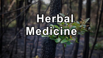 The Power and Potential of Herbal Medicine and The Benefits of Valerian Root and Blue Vervain in Coping With Stress - Jane Barlow-Christensen