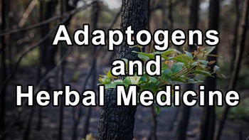 The Empowering World of Adaptogens and Herbal Medicine - Jane Barlow-Christensen