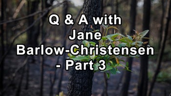 Questions and Answers With Herbalist Jane Barlow-Christensen Part 3 Including Cryptolepis, Ginkgo, Lion’s Mane Mushrooms, Witch Hazel, Lomatium, Chlorella, Cilantro, and Chanca Piedra  - Jane Barlow-Christensen