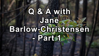 Questions and Answers with Herbalist Jane Barlow-Christensen Part 1 Including Suma root, Lomatium, Chaparral, Lobelia, Colloidal Silver, Food-Grade Hydrogen Peroxide, Gymnema Silvestra, Fenugreek, Kelp, Chlorella, Activated Charcoal, Yohimbe, Passion Flower, Cinnamon, Cayenne Pepper, Ginkgo, Gotu Kola, Ashwagandha and Schizandra - Jane Barlow-Christensen