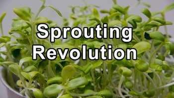 Doug Evans: From NYC Streets to Sprouting Revolution - Doug Evans