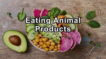 If I Am Going To Eat Animal Products, Which One Is the Healthiest? - Julieanna Hever, M.S., R.D., C.P.T.
