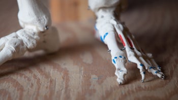 kinectED: The Biomechanics of Gait with Maddie Irmen Connolly, PT, DPT (3 CECs)