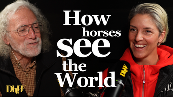 How Horses Really See: Motion, Color, Depth and the Diseases Owners Miss Part 2 —  Dear Horse World, it’s Dr. Dennis Brooks
