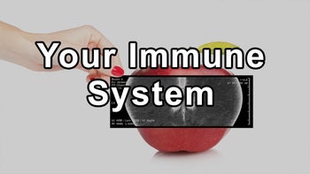 Unleashing the Potential of Your Immune System - Pamela A. Popper, Ph.D., N.D.