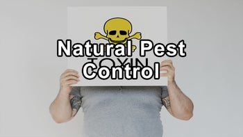 Embracing Healthier Living: Natural Pest Control, Combating Mold in Homes, Reducing Electromagnetic Radiation, and Improving Indoor Air Quality - Andrew Pace