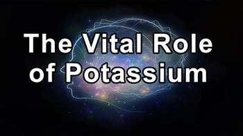 The Vital Role of Potassium, Calcium, and Phosphorus in Kidney Health - Sean Hashmi, MD, MS, FASN