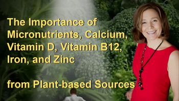 The Importance of Micronutrients, Calcium, Vitamin D, Vitamin B12, Iron, and Zinc from Plant-based Sources
