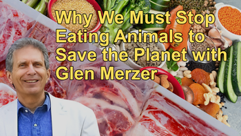 Why We Must Stop Eating Animals to Save the Planet with Glen Merzer