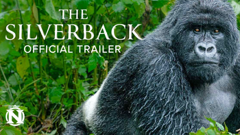 The Silverback Trailer