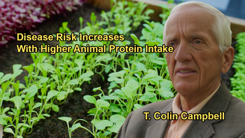 The Common Trends in the Data, Showing That Higher Animal Protein Intake Leads to Higher Disease Rates With Dr. T. Colin Campbell