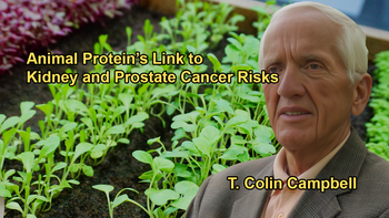 Studies Linking Animal Protein Intake to Kidney Cancer, Heart Disease, and Prostate Cancer With Dr. T. Colin Campbell