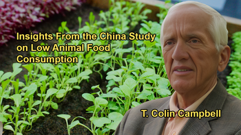 Insights From the China Study, Emphasizing the Low Incidence of Heart Disease in Regions With Low Animal Food Consumption With Dr. T. Colin Campbell