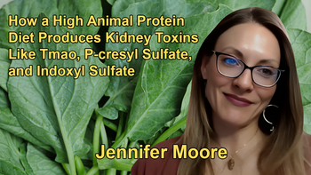 How a High Animal Protein Diet Produces Kidney Toxins Like Tmao, P-cresyl Sulfate, and Indoxyl Sulfate, and the Benefits of a Plant-based Diet for Reducing These Toxins and Inflammation With Jennifer Moore