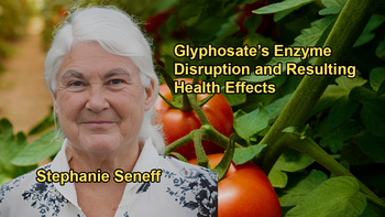 Discussion on How Glyphosate Disrupts Proteins That Bind Phosphate, Affecting Various Enzymes With Stephanie Seneff, Ph.D.