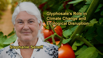 How Glyphosate Impacts Climate Change Through Various Mechanisms Including Disrupting Nitrogen and Sulfur Cycles With Stephanie Seneff, Ph.D.
