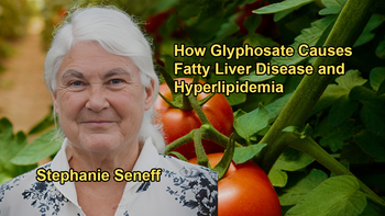 How Disrupted Glycolysis Due to Glyphosate Leads to Fatty Liver Disease and Hyperlipidemia With Stephanie Seneff, Ph.D.