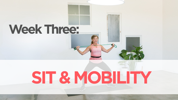 Week Three: SIT & Mobility