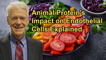 Discussion on the Impact of Animal Protein on Endothelial Cells and Whether Historical Diets Had Less Cardiovascular Disease With Dr. Caldwell B. Esselstyn