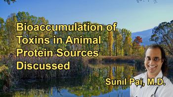 Bioaccumulation of Toxins in Animal Proteins, Highlighting the Higher Levels of Microplastics Found in Larger Animals Like Beef and Chicken With Dr. Sunil Pai