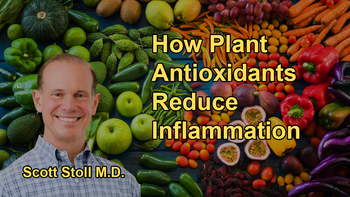 How Antioxidants in Plants Contribute to Reducing Inflammation by Neutralizing Free Radicals and Turning Off Genetic Switches Linked to Inflammatory Processes With Dr. Scott Stoll
