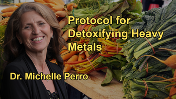 Protocol for Detoxifying Heavy Metals from the Body, Emphasizing Gut Health, Dietary Changes, and Specific Detox Methods with Dr. Michelle Perro