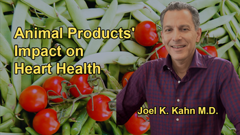 The Impact of Moderate Consumption of Animal Products on Heart Health and the Challenges of Maintaining a 100% Plant-Based Diet with Dr. Joel K. Kahn