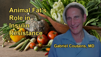 How Animal Fat and Protein Contribute to Insulin Resistance and Beta Cell Destruction in the Pancreas with Dr. Gabriel Cousens