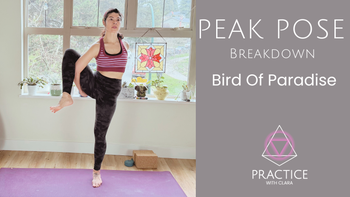 Peak Pose Breakdown: Bird Of Paradise (10-min)