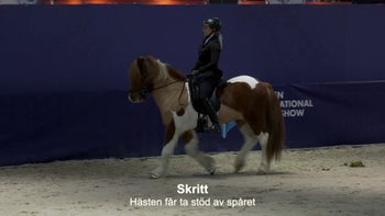 Level 1 - Välj de övningar som passar dig och din häst bäst