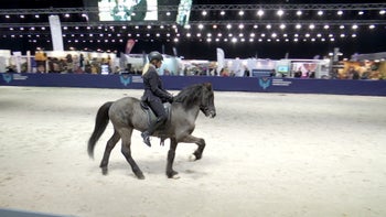 Level 3 - Ylva Hagander rider helt program i Gæðingalist nivå 3