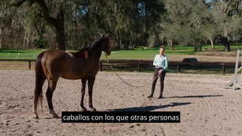 Vista previa gratuita