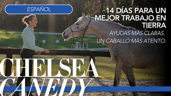 14 días para un mejor trabajo en tierra. Ayudas más claras. Un caballo más atento.