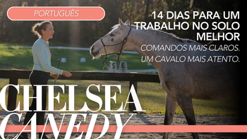 14 dias para um trabalho no solo melhor. Comandos mais claros. Um cavalo mais atento.