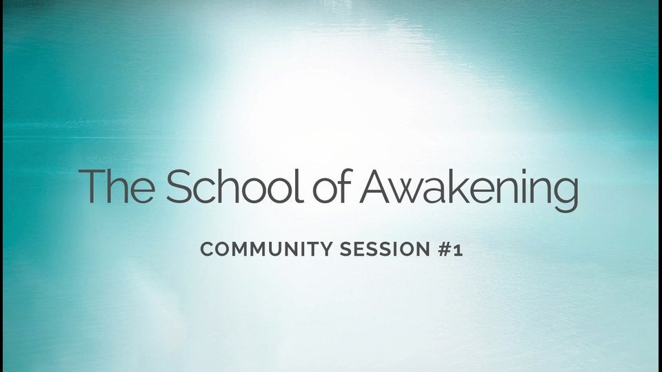 School of Awakening 2025