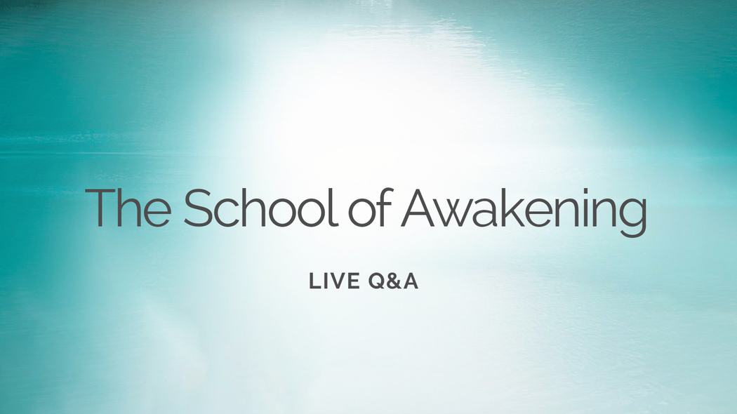 March 30 School of Awakening Live Q&A