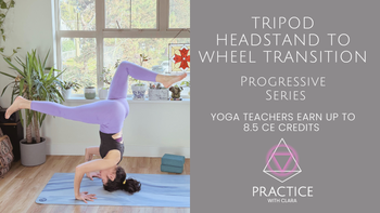 Tripod Headstand To Wheel Transition |  8.5 CE hours with Yoga Alliance