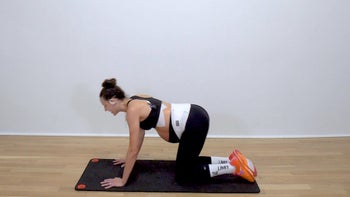 12 Minute Tabletop Series (Egg Freezing & IVF Safe)