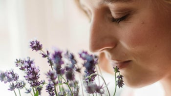 Integration des Cleanse-Erlebnisses in den Alltag