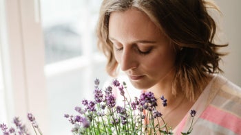 Was erwartet dich beim Ayurveda Cleanse Programm?