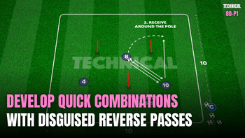 Reverse Pass Activation | 80-P1