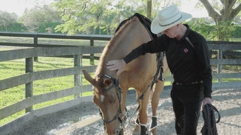 [Theory] Episode 1: The Millar Method Training System