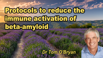 Lecture 15 - Dr. Tom O’Bryan - Protocols to reduce the immune activation of beta-amyloid Sunday, Apr 05, 2026, 9:00 AM - 11:00 AM EDT