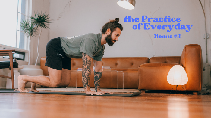 Bonus Practice #3 : Strong Balance