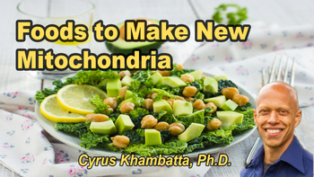 Lecture 44 - Cyrus Khambatta, Ph.D. - 7 Foods to Make New Mitochondria  Thursday, Apr 09, 2026, 11:00 AM - 1:00 PM EDT