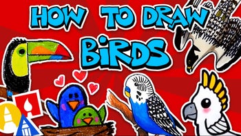 How to Draw Birds