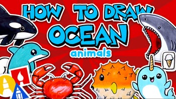 How to Draw Ocean Animals
