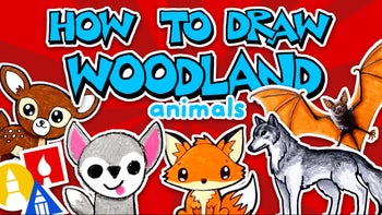 How to Draw Woodland Animals